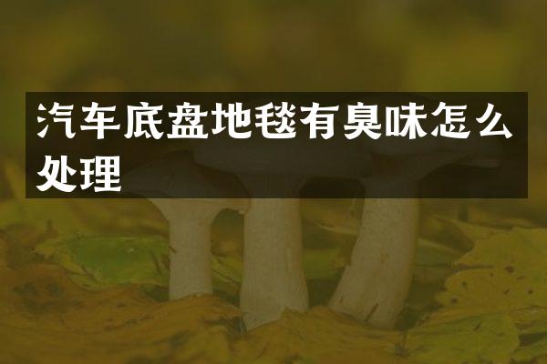 汽车底盘地毯有臭味怎么处理