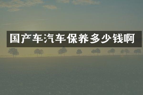 国产车汽车保养多少钱啊