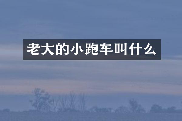 老大的小跑车叫什么
