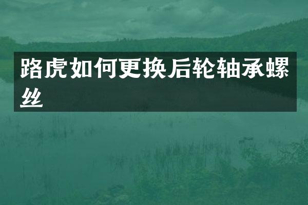 路虎如何更换后轮轴承螺丝