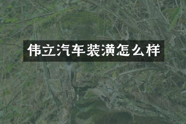 伟立汽车装潢怎么样