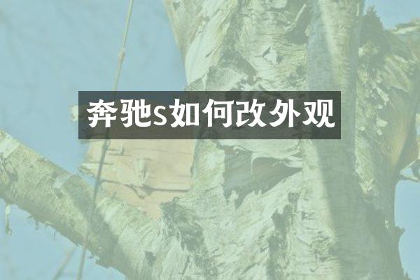 奔驰s如何改外观