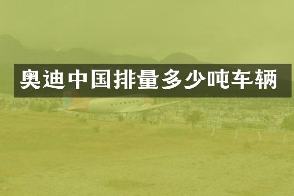 奥迪中国排量多少吨车辆