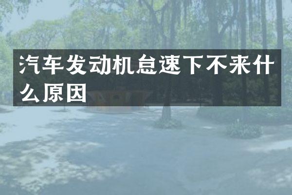 汽车发动机怠速下不来什么原因