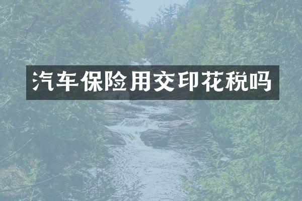 汽车保险用交印花税吗
