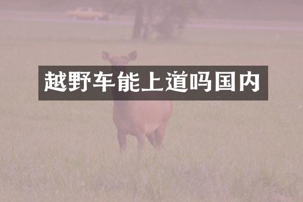 越野车能上道吗国内
