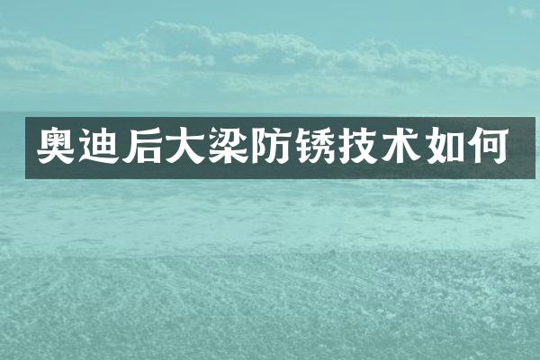奥迪后大梁防锈技术如何