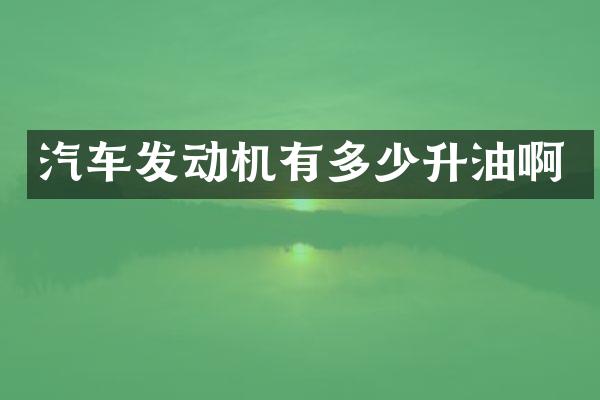 汽车发动机有多少升油啊
