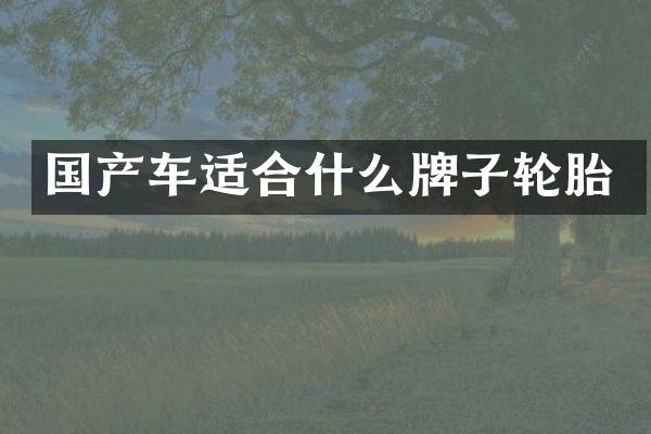 国产车适合什么牌子轮胎