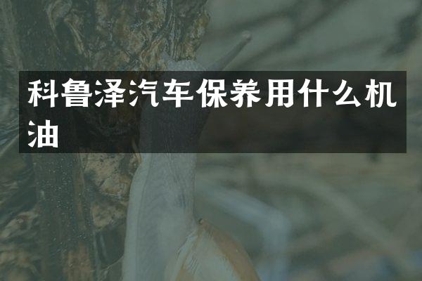 科鲁泽汽车保养用什么机油