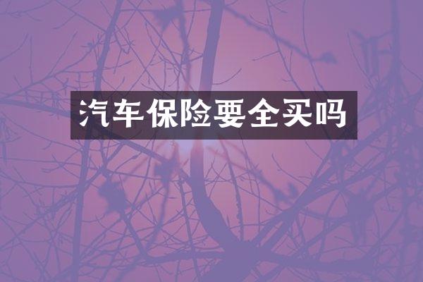 汽车保险要全买吗