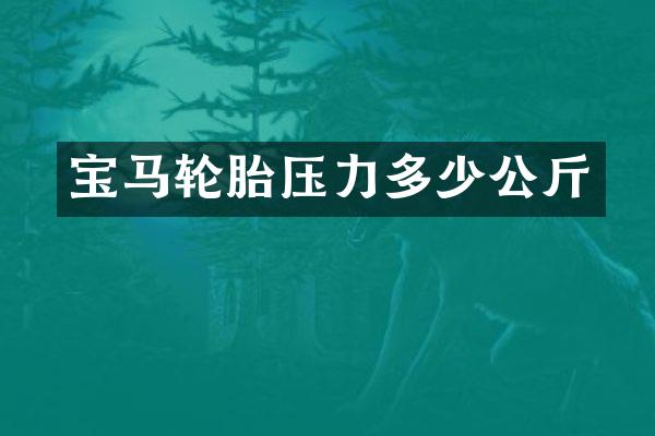 宝马轮胎压力多少公斤