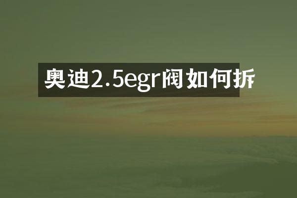 奥迪2.5egr阀如何拆