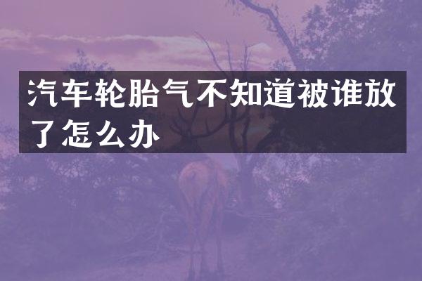 汽车轮胎气不知道被谁放了怎么办