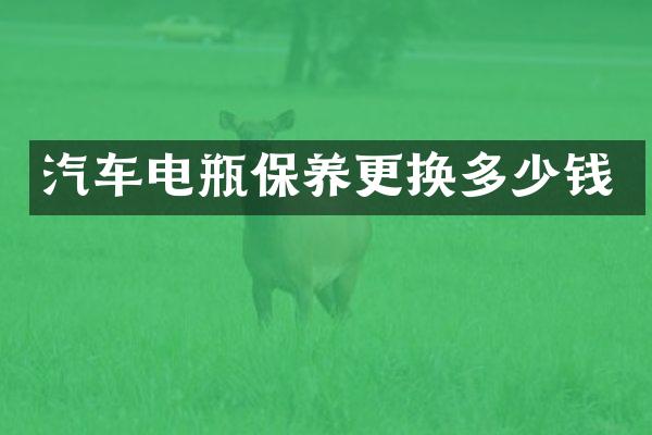 汽车电瓶保养更换多少钱