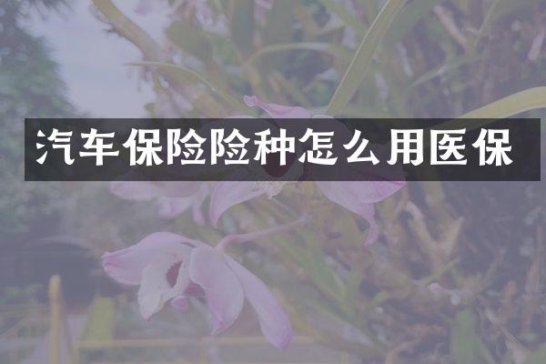 汽车保险险种怎么用医保
