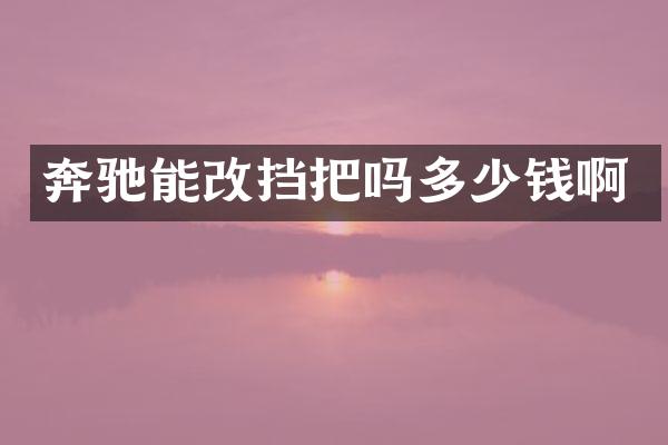 奔驰能改挡把吗多少钱啊