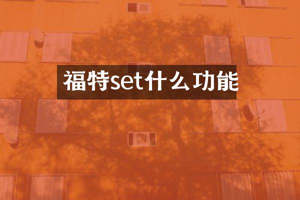 福特set什么功能