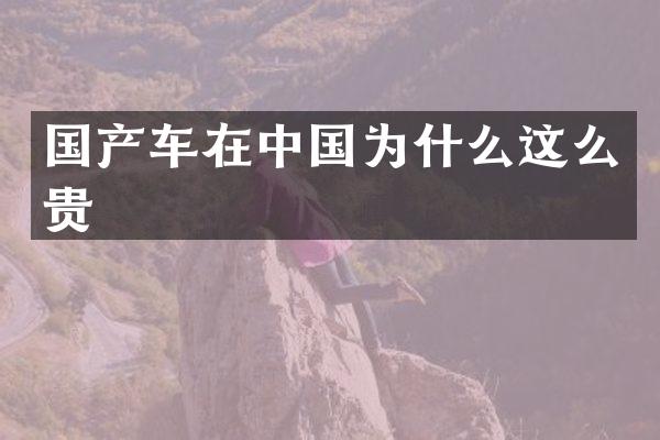 国产车在中国为什么这么贵