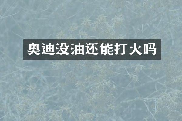 奥迪没油还能打火吗
