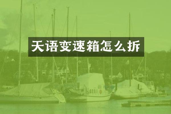 天语变速箱怎么拆