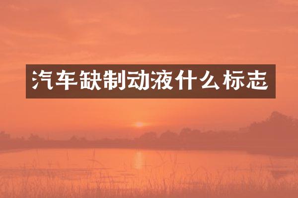汽车缺制动液什么标志