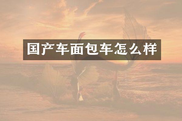 国产车面包车怎么样