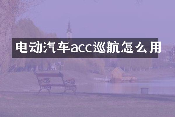 电动汽车acc巡航怎么用