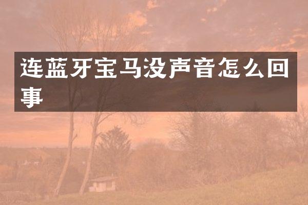 连蓝牙宝马没声音怎么回事