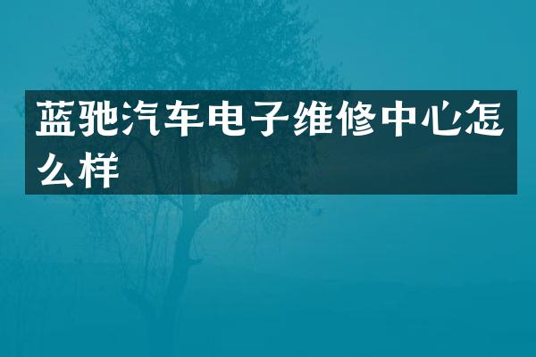 蓝驰汽车电子维修中心怎么样
