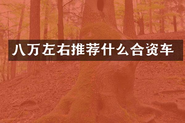 八万左右推荐什么合资车
