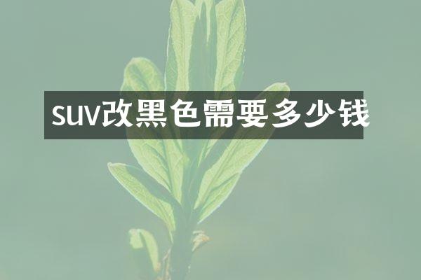 suv改黑色需要多少钱