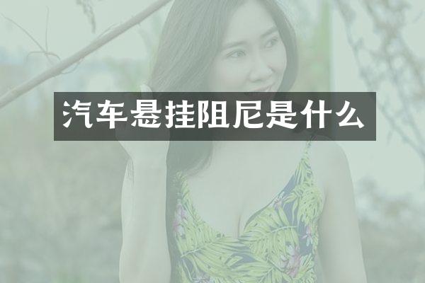 汽车悬挂阻尼是什么