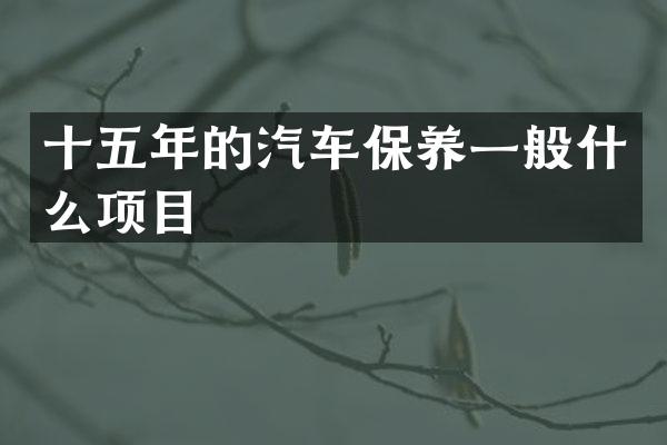 十五年的汽车保养一般什么项目
