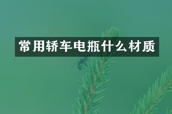常用轿车电瓶什么材质
