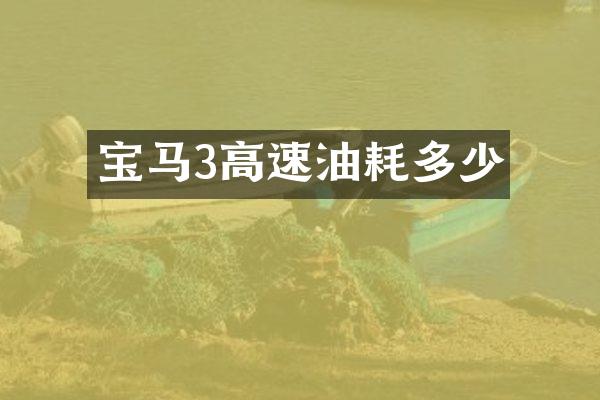 宝马3高速油耗多少