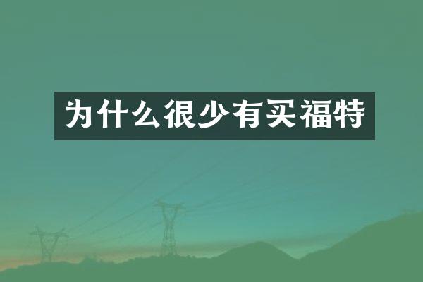 为什么很少有买福特