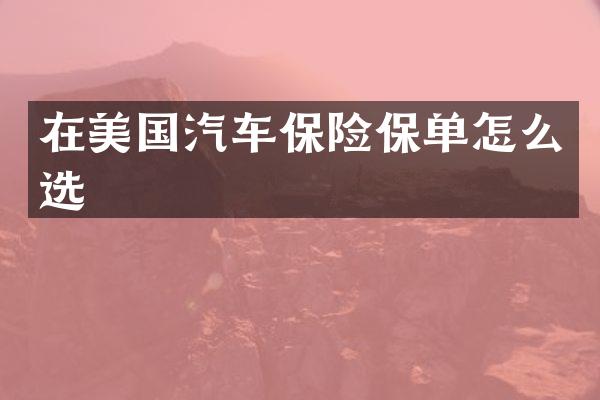 在美国汽车保险保单怎么选