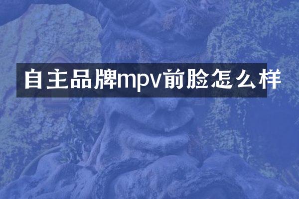 自主品牌mpv前脸怎么样