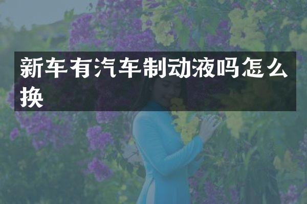 新车有汽车制动液吗怎么换