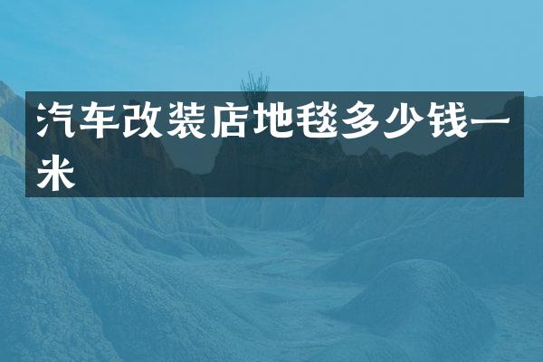 汽车改装店地毯多少钱一米
