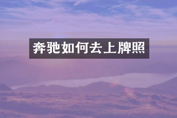 奔驰如何去上牌照