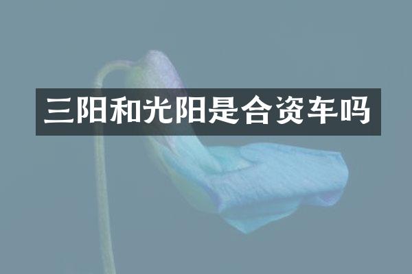 三阳和光阳是合资车吗