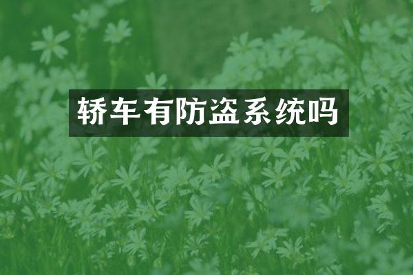 轿车有防盗系统吗