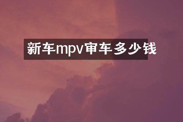 新车mpv审车多少钱