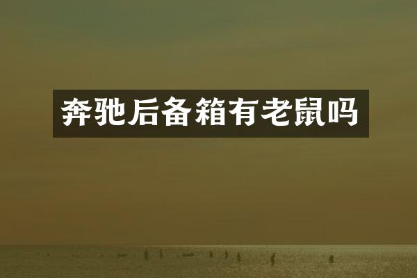 奔驰后备箱有老鼠吗