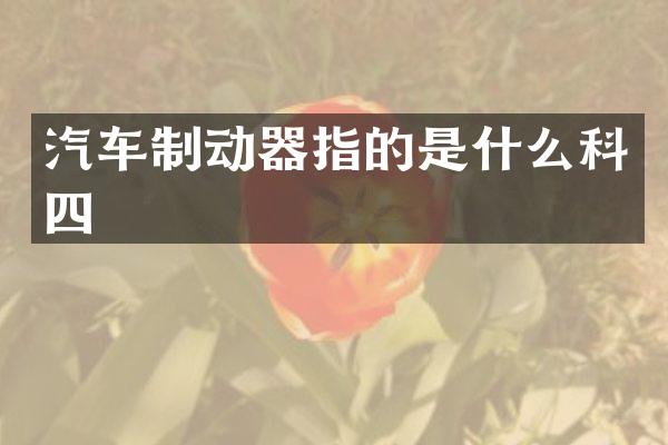 汽车制动器指的是什么科四
