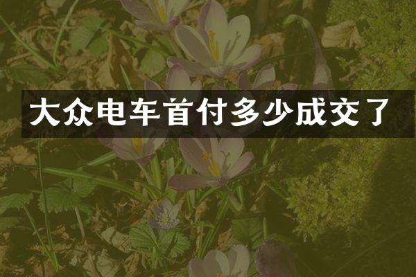大众电车首付多少成交了
