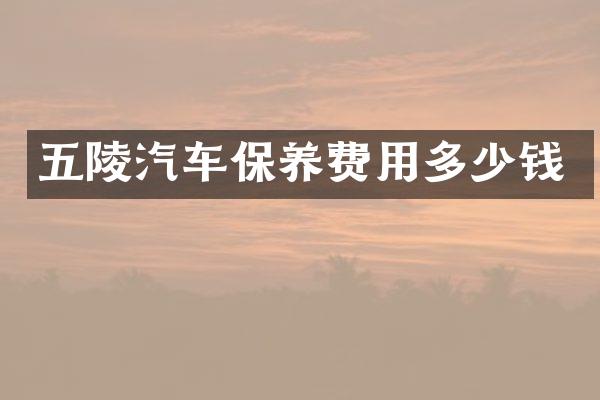 五陵汽车保养费用多少钱