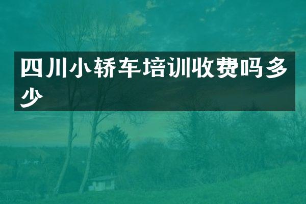 四川小轿车培训收费吗多少